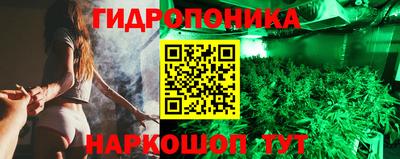 скорость Дубна