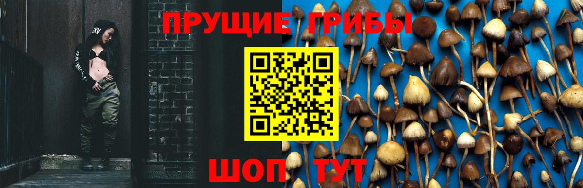 Галлюциногенные грибы мицелий Малоярославец